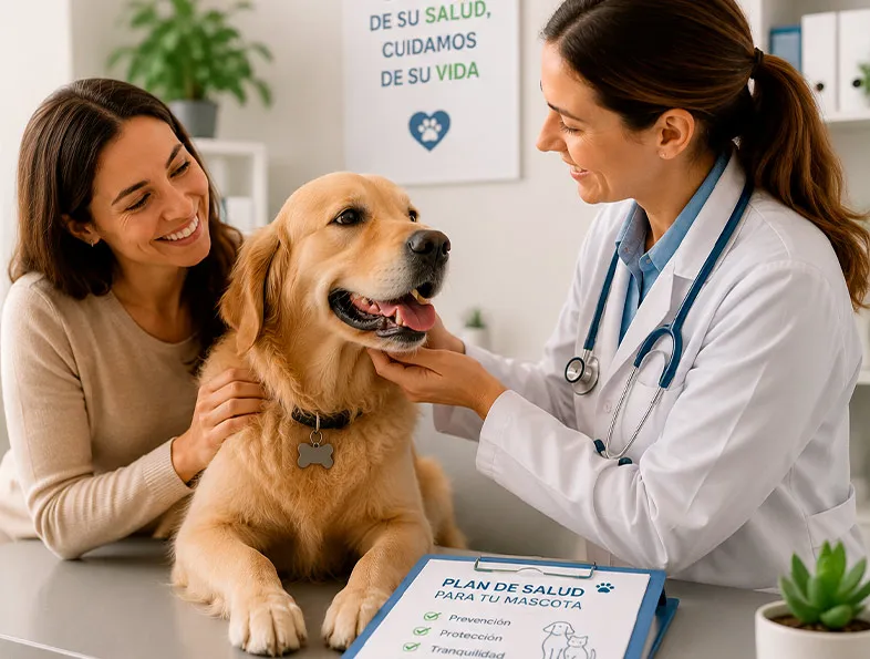 seguros-para-animales Dyvilsan-Mediciones